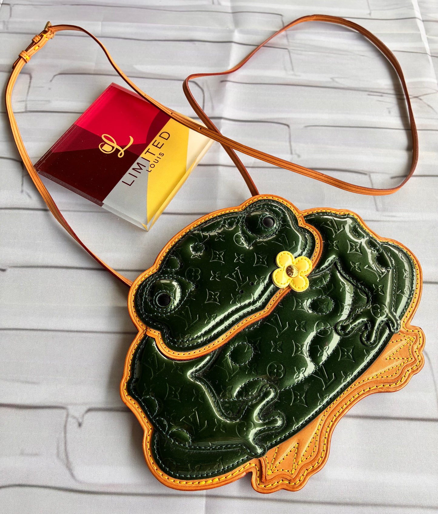 Pochette Conte de fees Frog