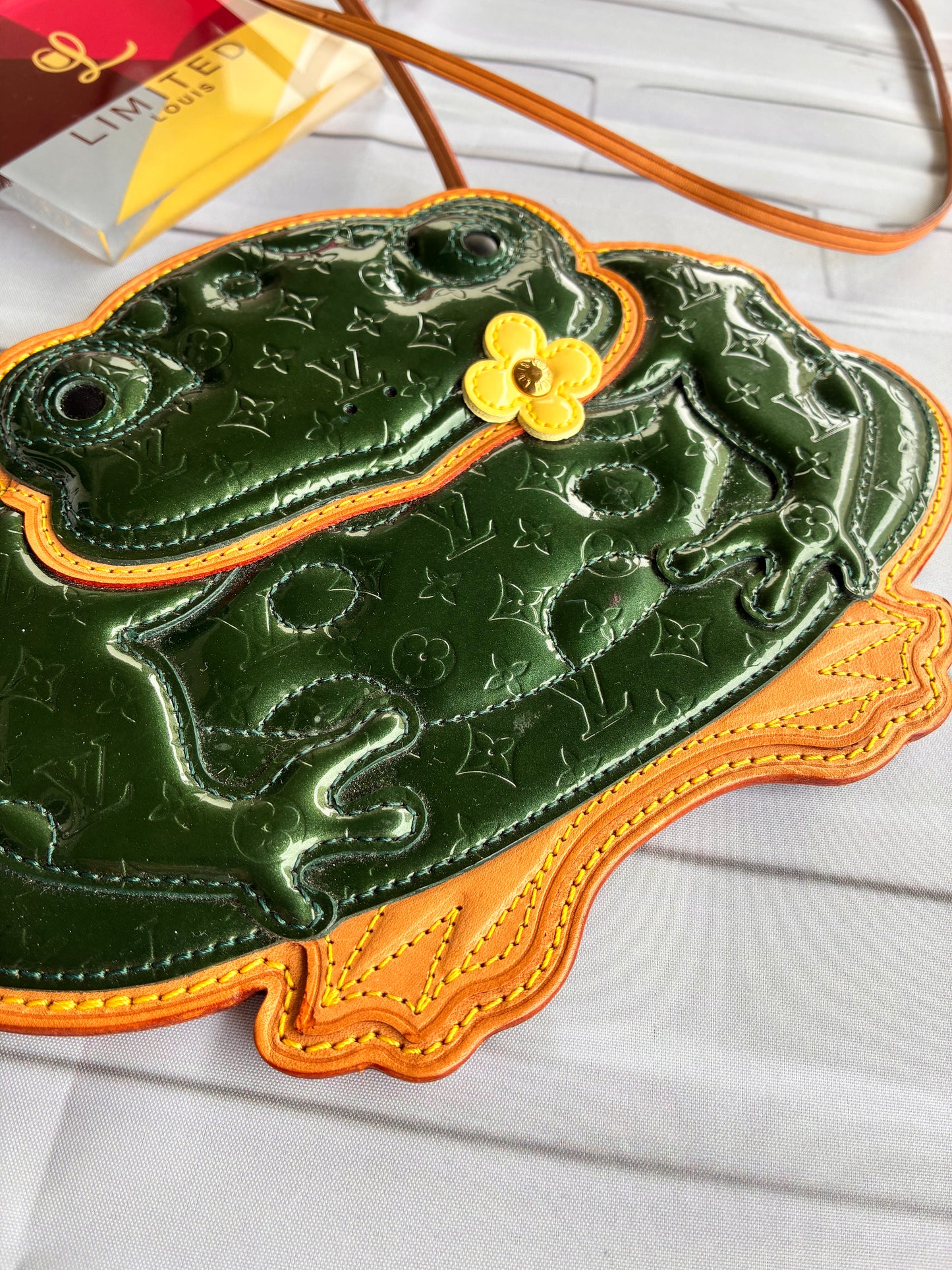 Pochette Conte de fees Frog