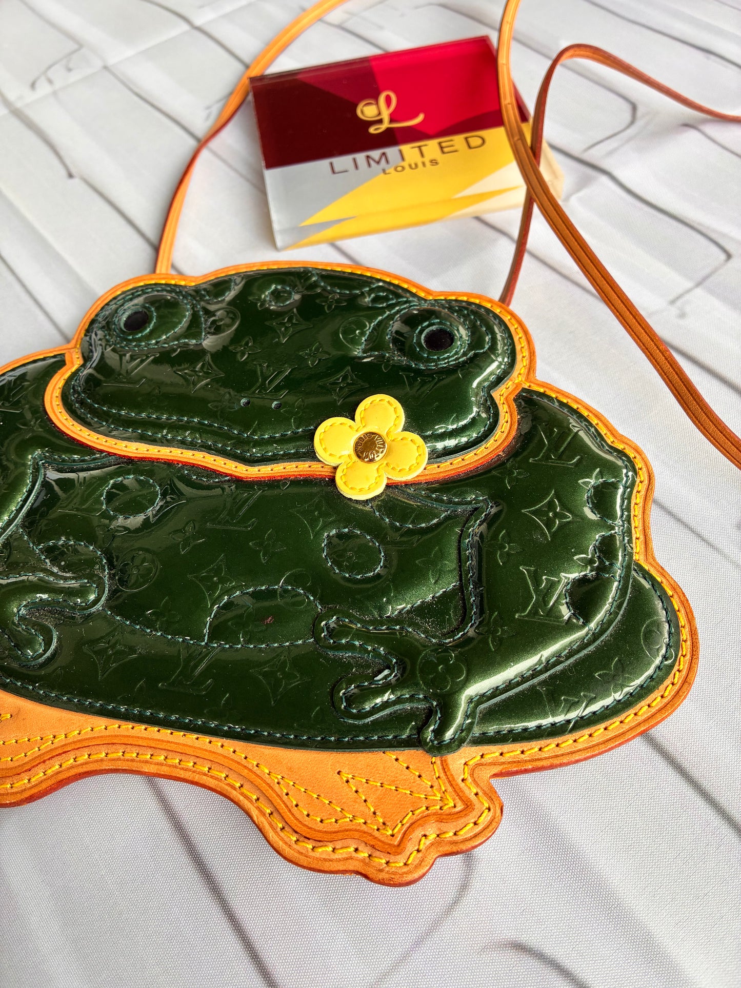 Pochette Conte de fees Frog