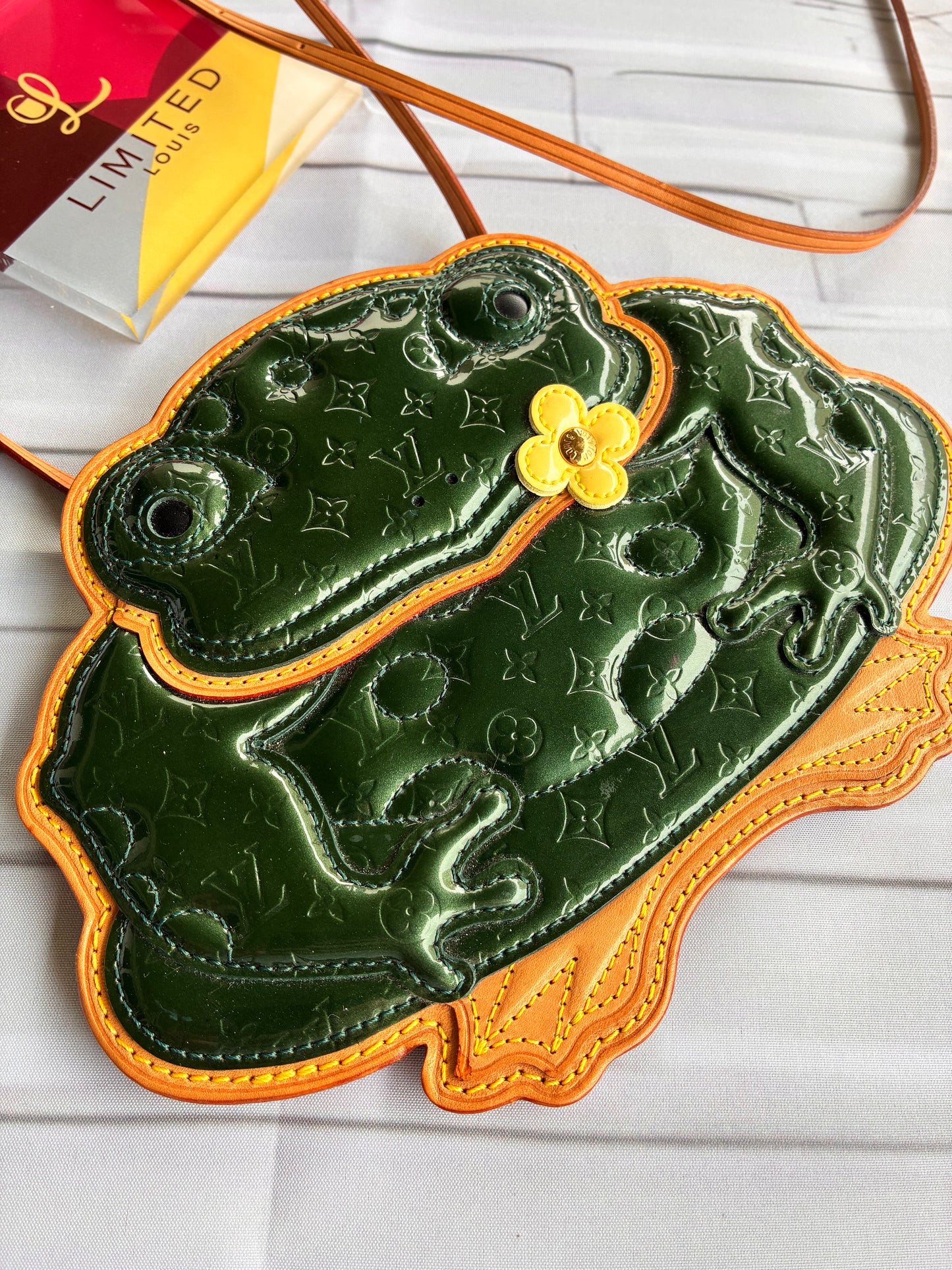 Pochette Conte de fees Frog